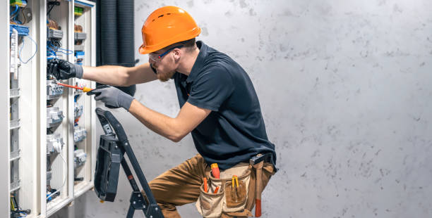 Best Electric Panel Repair  in Milton, GA
